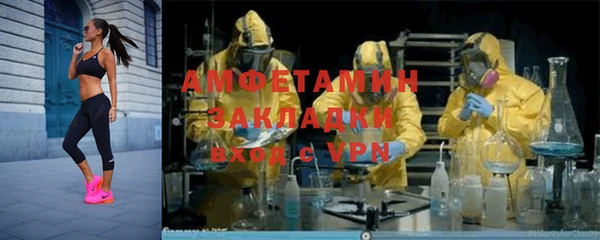 прущие грибы Наволоки