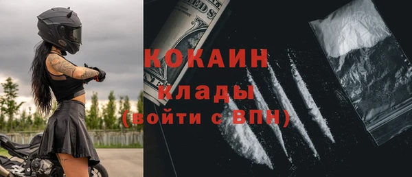 прущие грибы Наволоки
