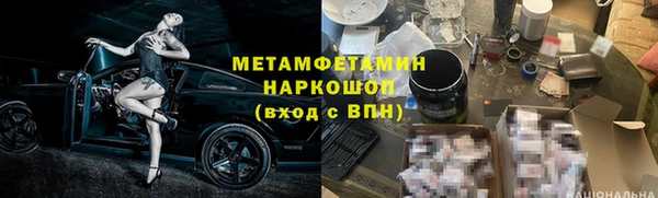 прущие грибы Наволоки