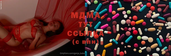прущие грибы Наволоки