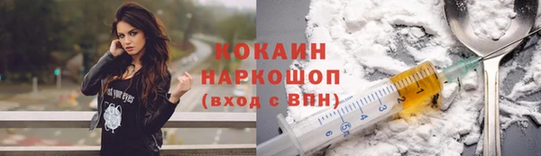 прущие грибы Наволоки