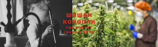 прущие грибы Наволоки