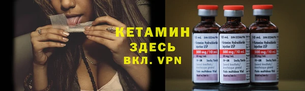 прущие грибы Наволоки
