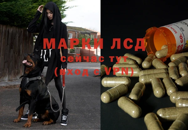 крисы Навашино
