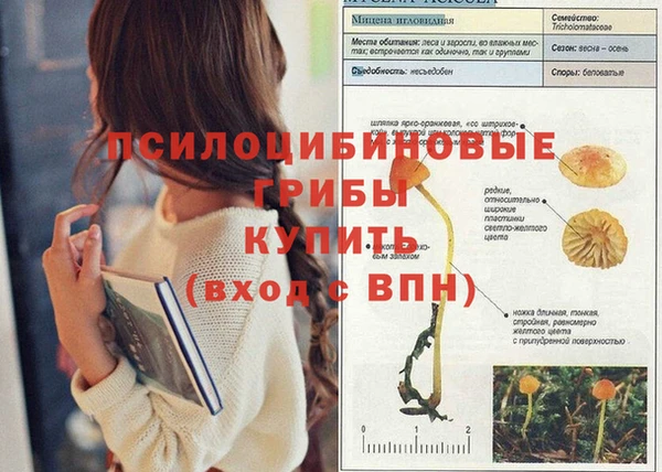 крисы Навашино
