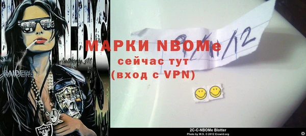 молекула духа Надым