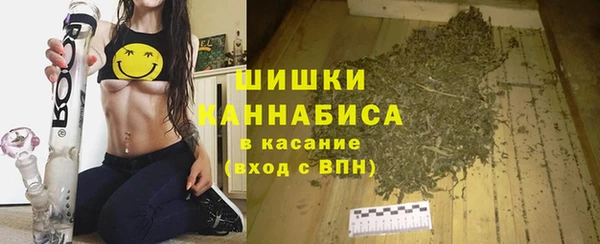 прущие грибы Наволоки