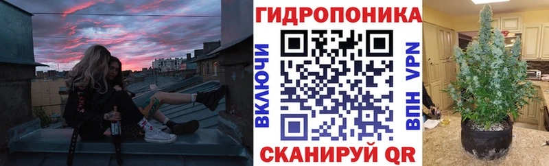 Бошки Шишки VHQ  mega ONION  Щёкино 